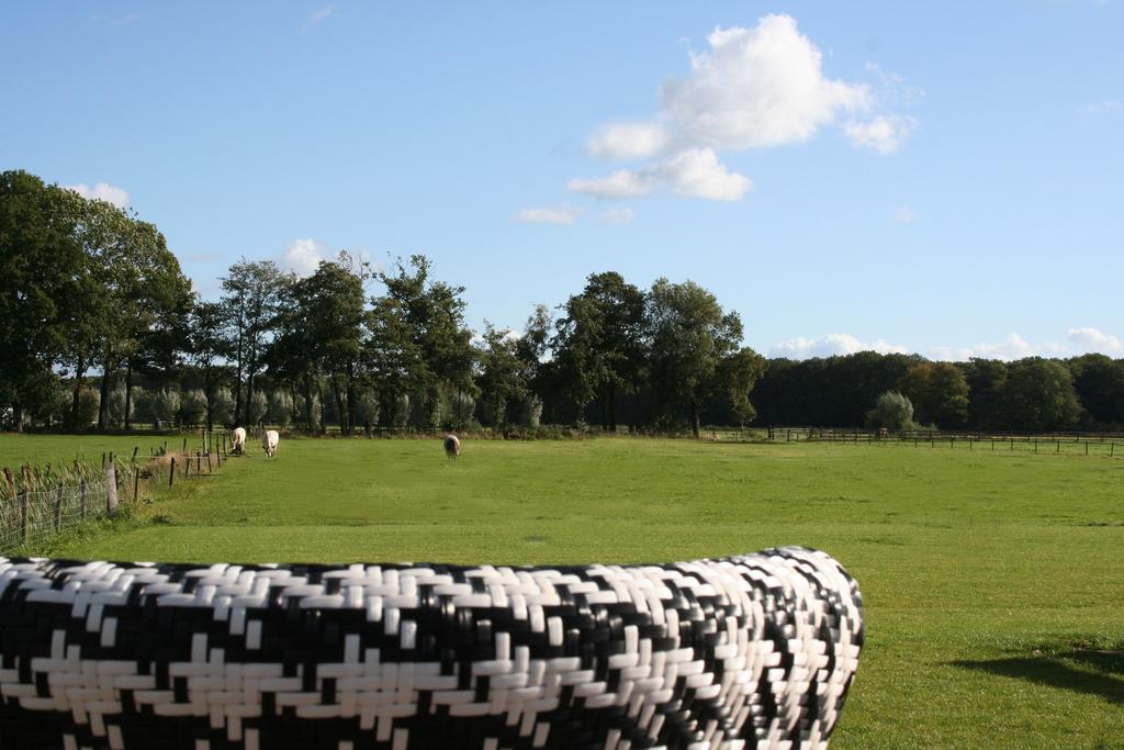 Bed and Breakfast Zwaluwhof Dalfsen Exterior foto